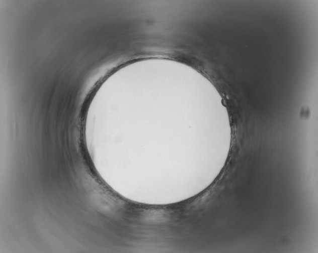 X0000112490342200909281138