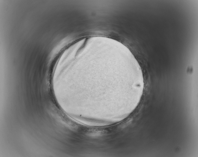 X0000112490343200909281138