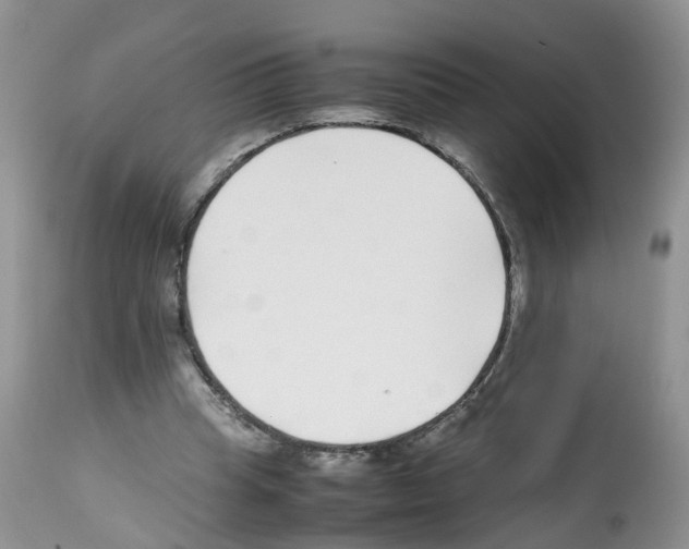 X0000112490345200909281138