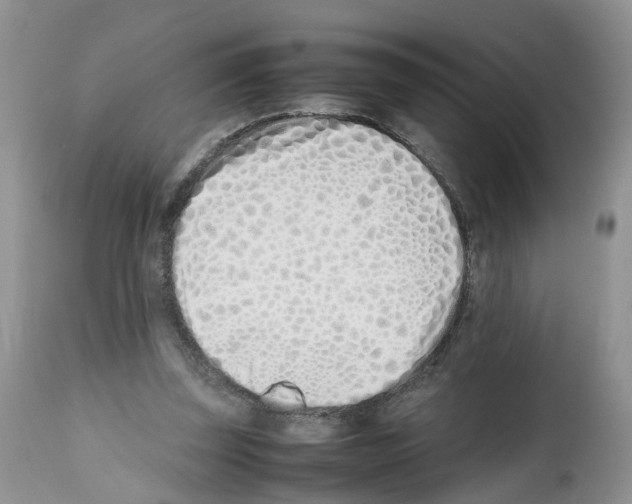 X0000112490347200909281138