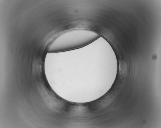 X0000112490348200909281138