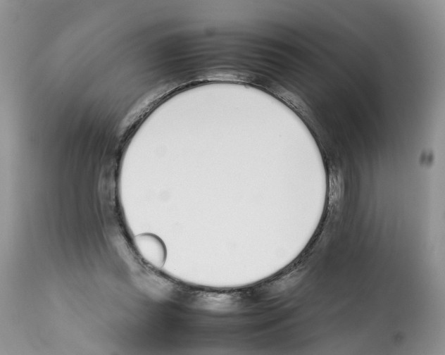 X0000112490349200909281138