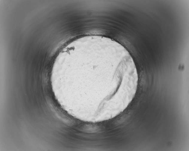 X0000112490351200909281138