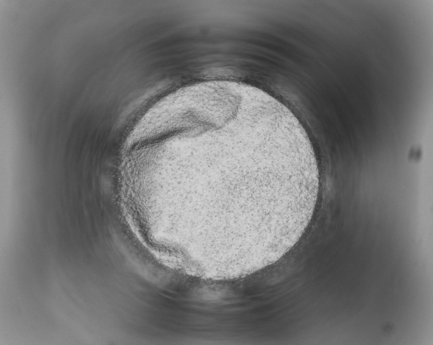 X0000112490353200909281138