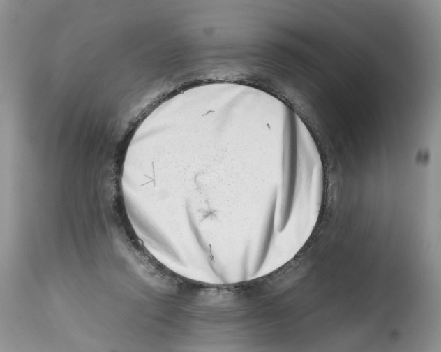 X0000112490354200909281138