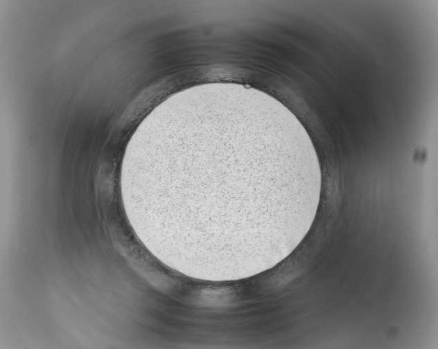 X0000112490357200909281138