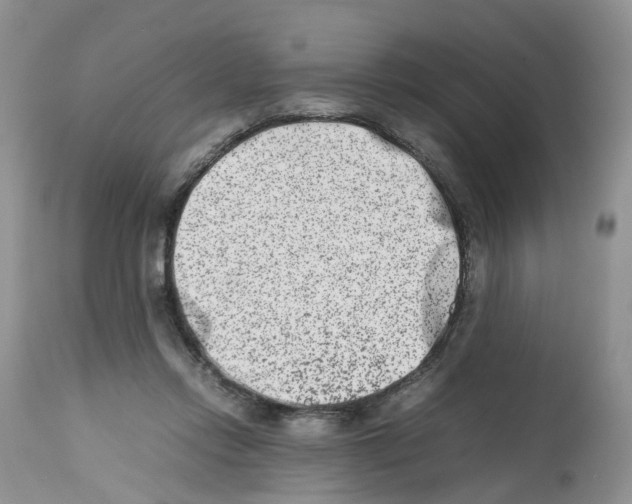 X0000112490358200909281138
