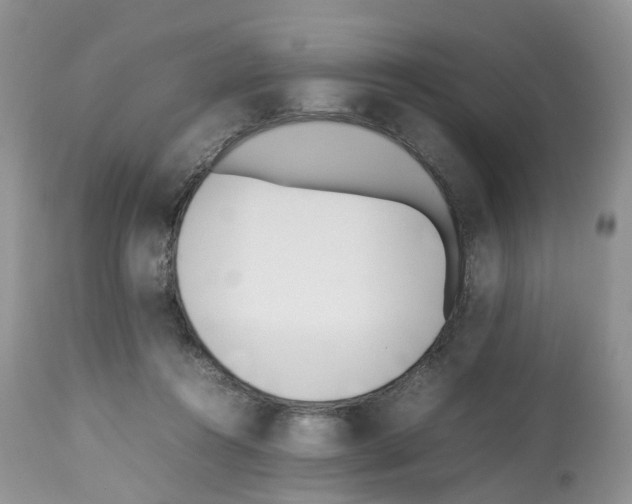 X0000112490360200909281138