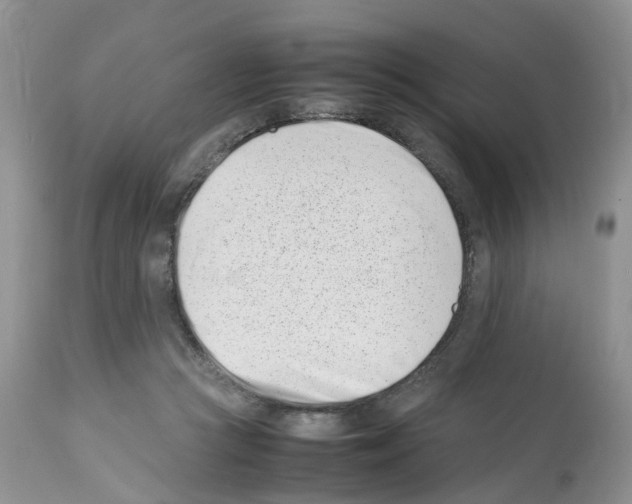 X0000112490361200909281138