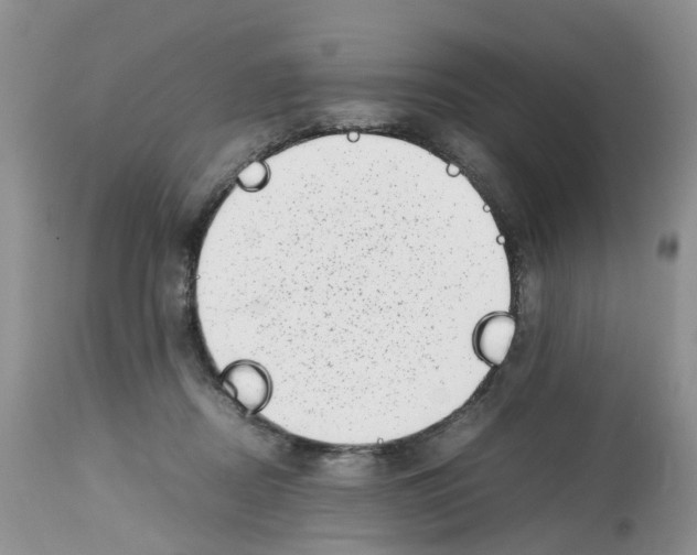 X0000112490362200909281138