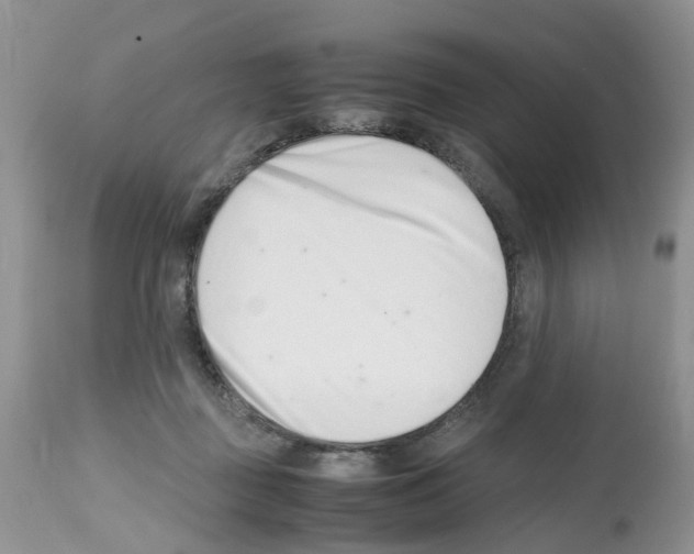 X0000112490363200909281138