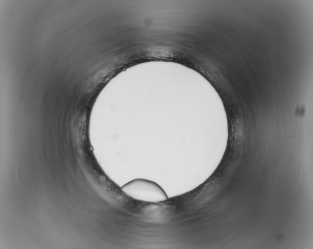 X0000112490364200909281138