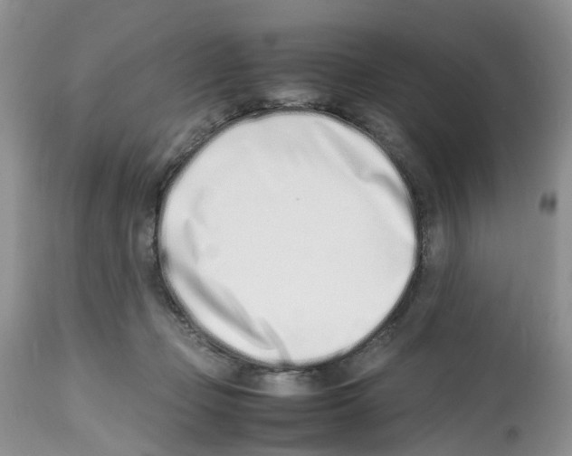 X0000112490365200909281138