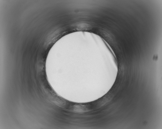 X0000112490367200909281138