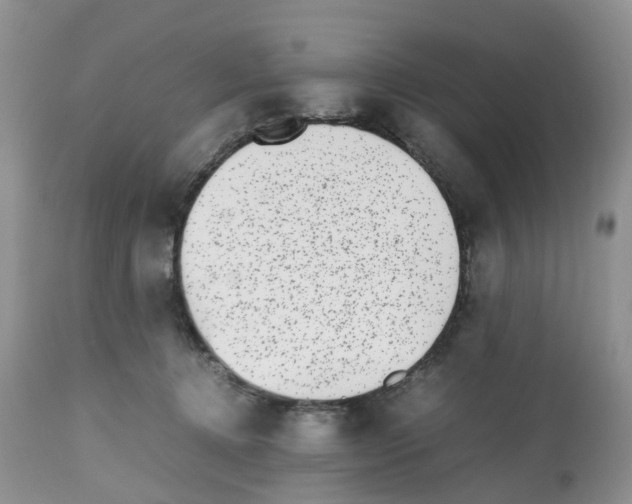 X0000112490368200909281138