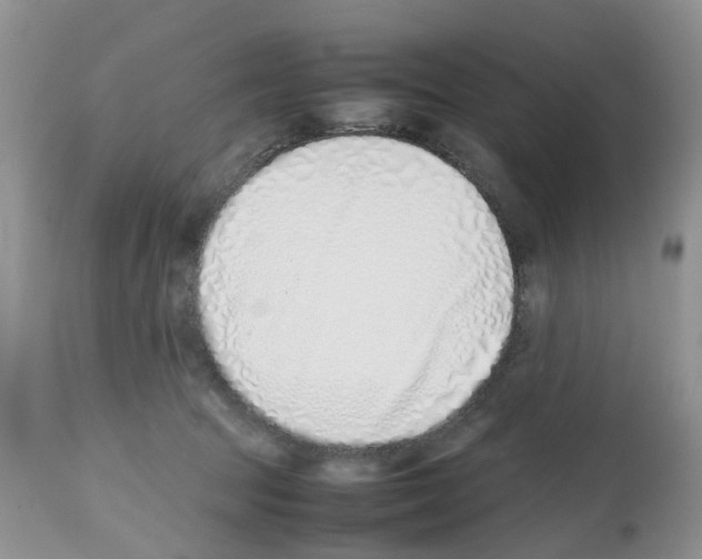 X0000112490369200909281138