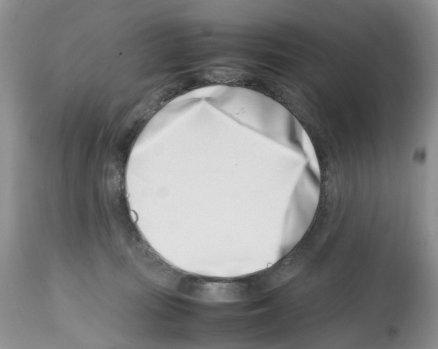 X0000112490371200909281139