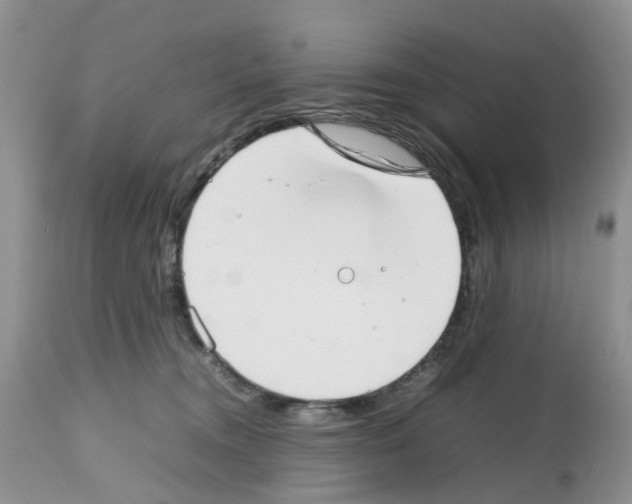 X0000112490372200909281139
