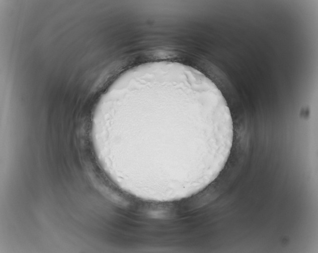 X0000112490373200909281139