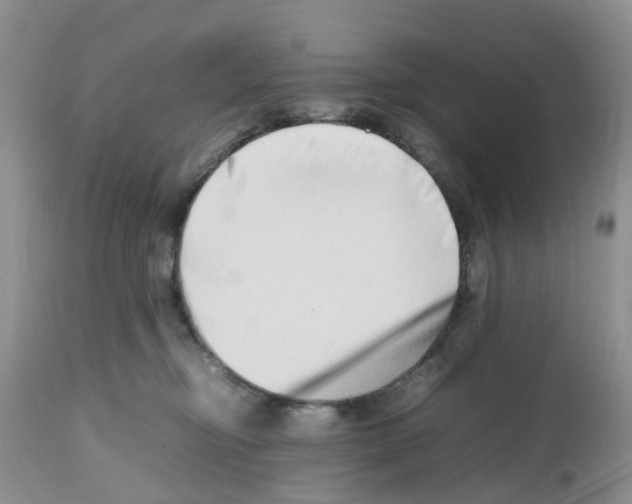 X0000112490374200909281139