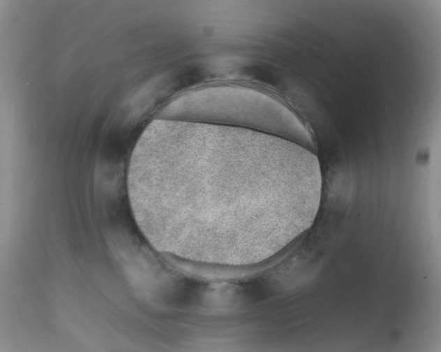 X0000112490376200909281139