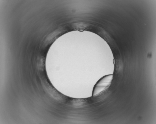 X0000112490378200909281139