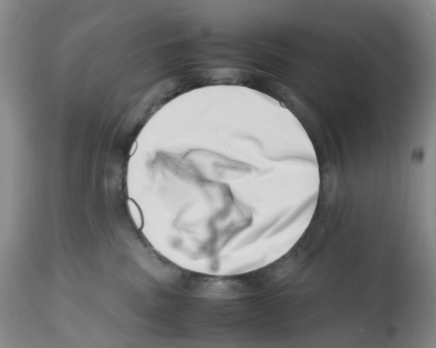 X0000112490379200909281139