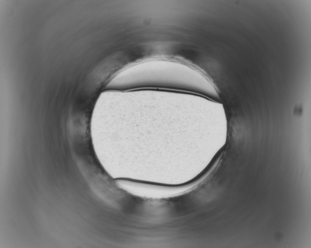 X0000112490380200909281139