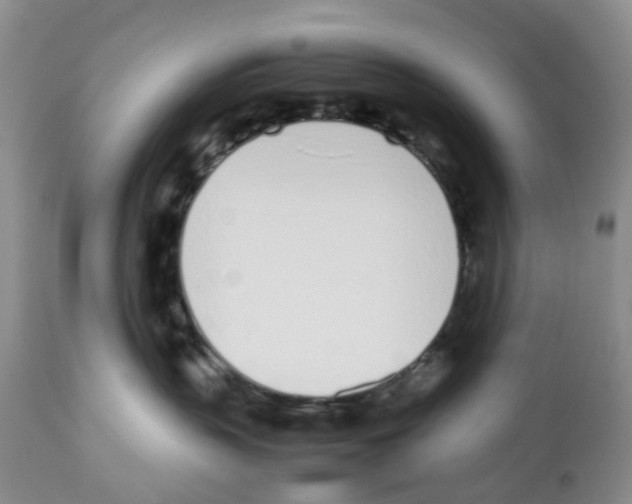 X0000112490383200909281139