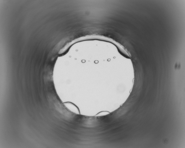 X0000112490384200909281139