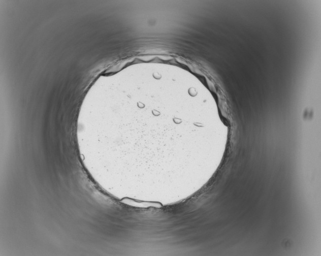 X0000112490385200909281138
