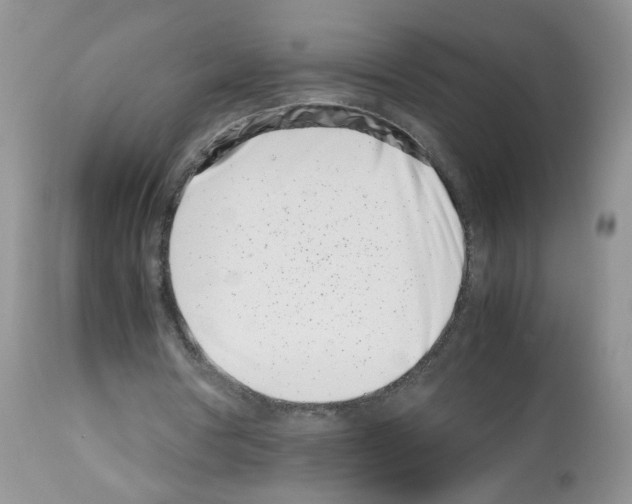 X0000112490386200909281138