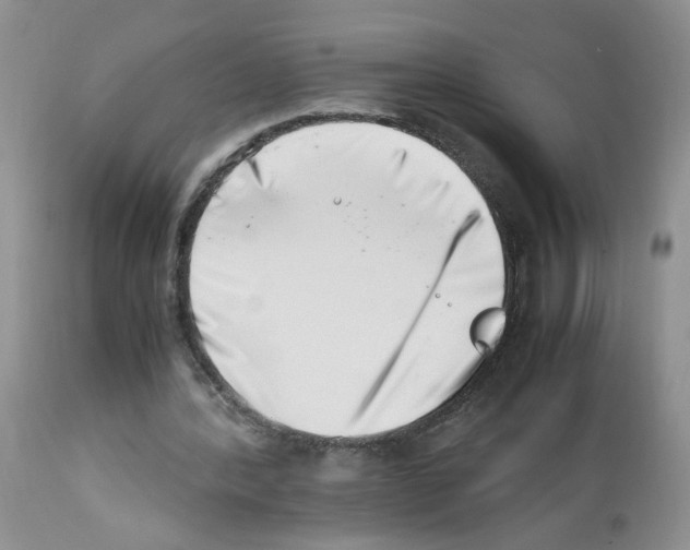 X0000112490388200909281138