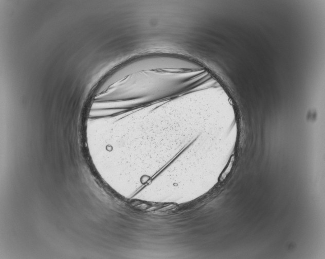 X0000112490391200909281138