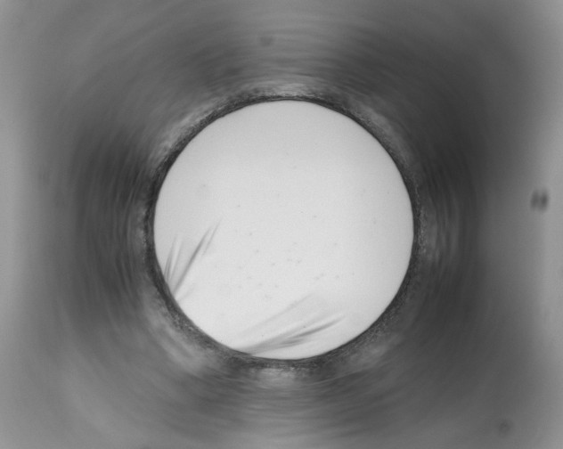X0000112490394200909281138
