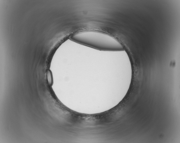X0000112490395200909281138