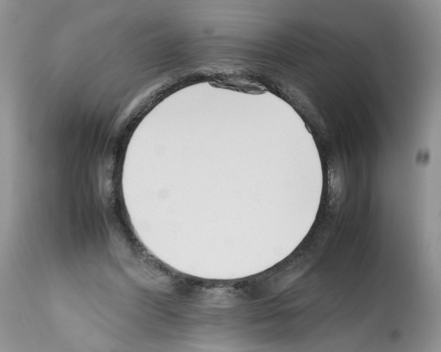 X0000112490396200909281138