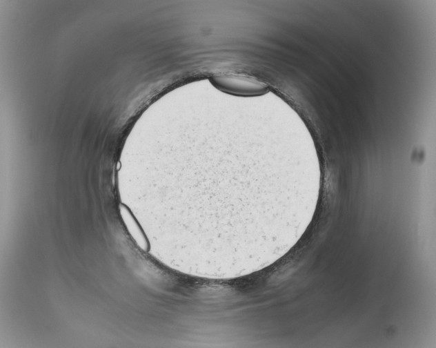 X0000112490397200909281138