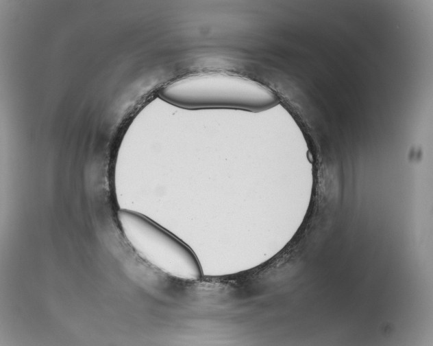 X0000112490399200909281138