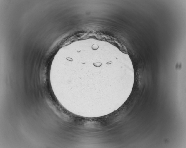 X0000112490400200909281137
