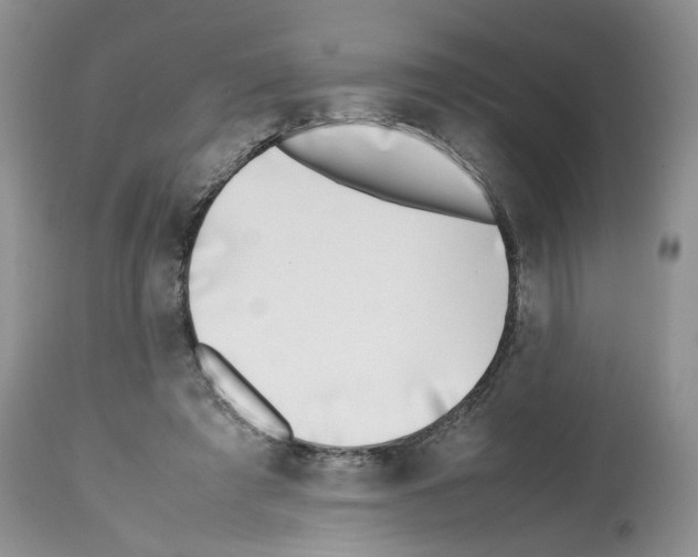 X0000112490401200909281137
