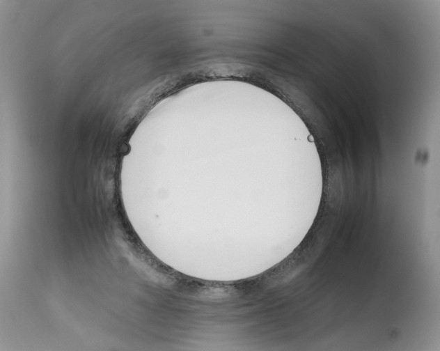X0000112490402200909281137