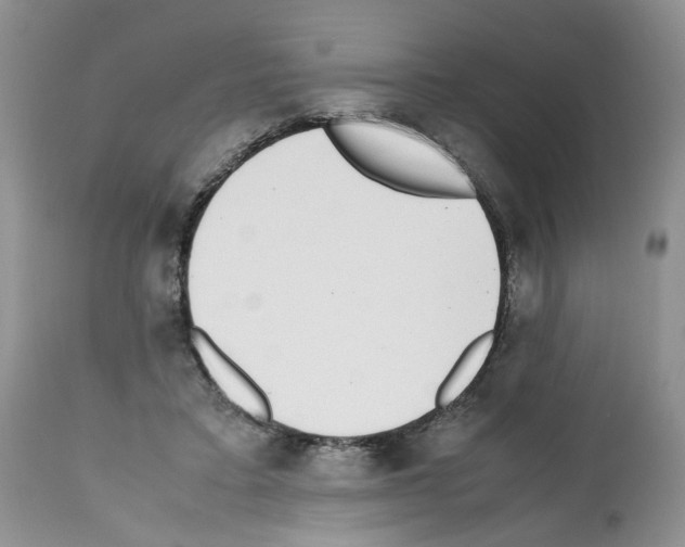 X0000112490403200909281137