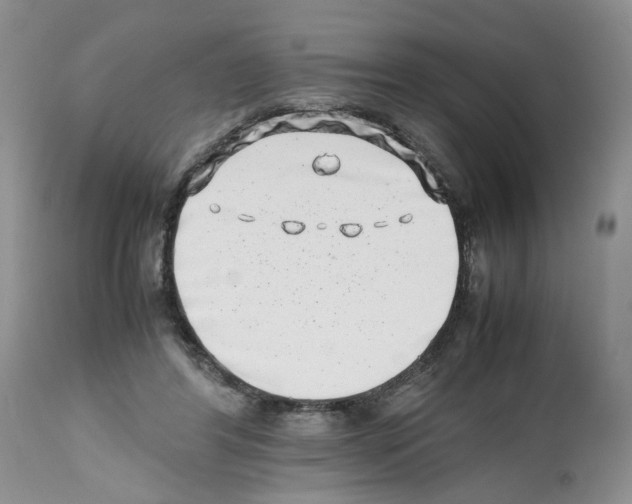 X0000112490404200909281137