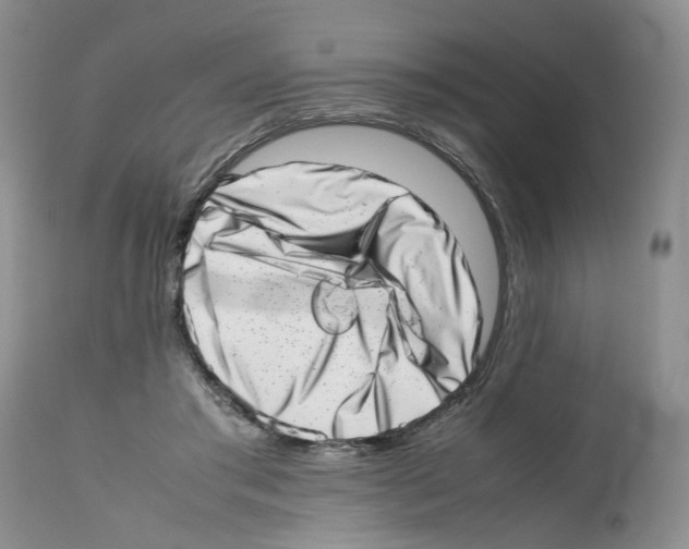 X0000112490405200909281137