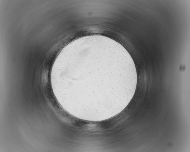 X0000112490406200909281137