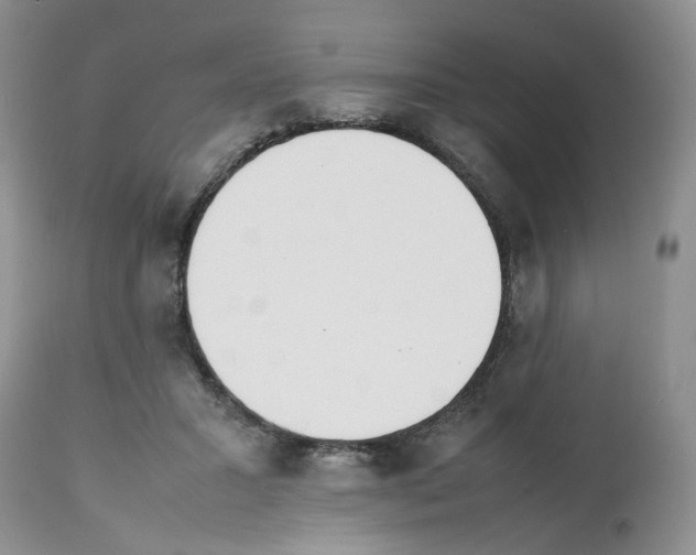 X0000112490407200909281137
