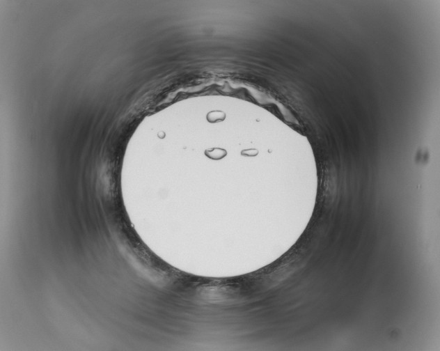 X0000112490408200909281137