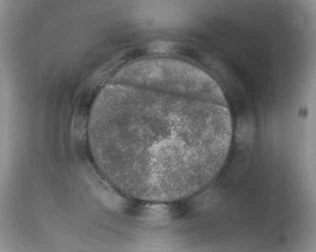 X0000112490409200909281137