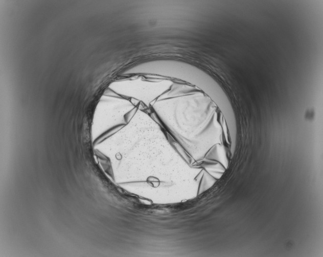 X0000112490411200909281137
